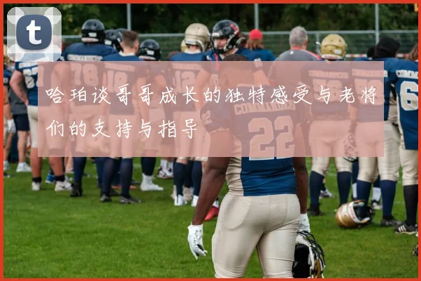 哈珀谈哥哥成长的独特感受与老将们的支持与指导